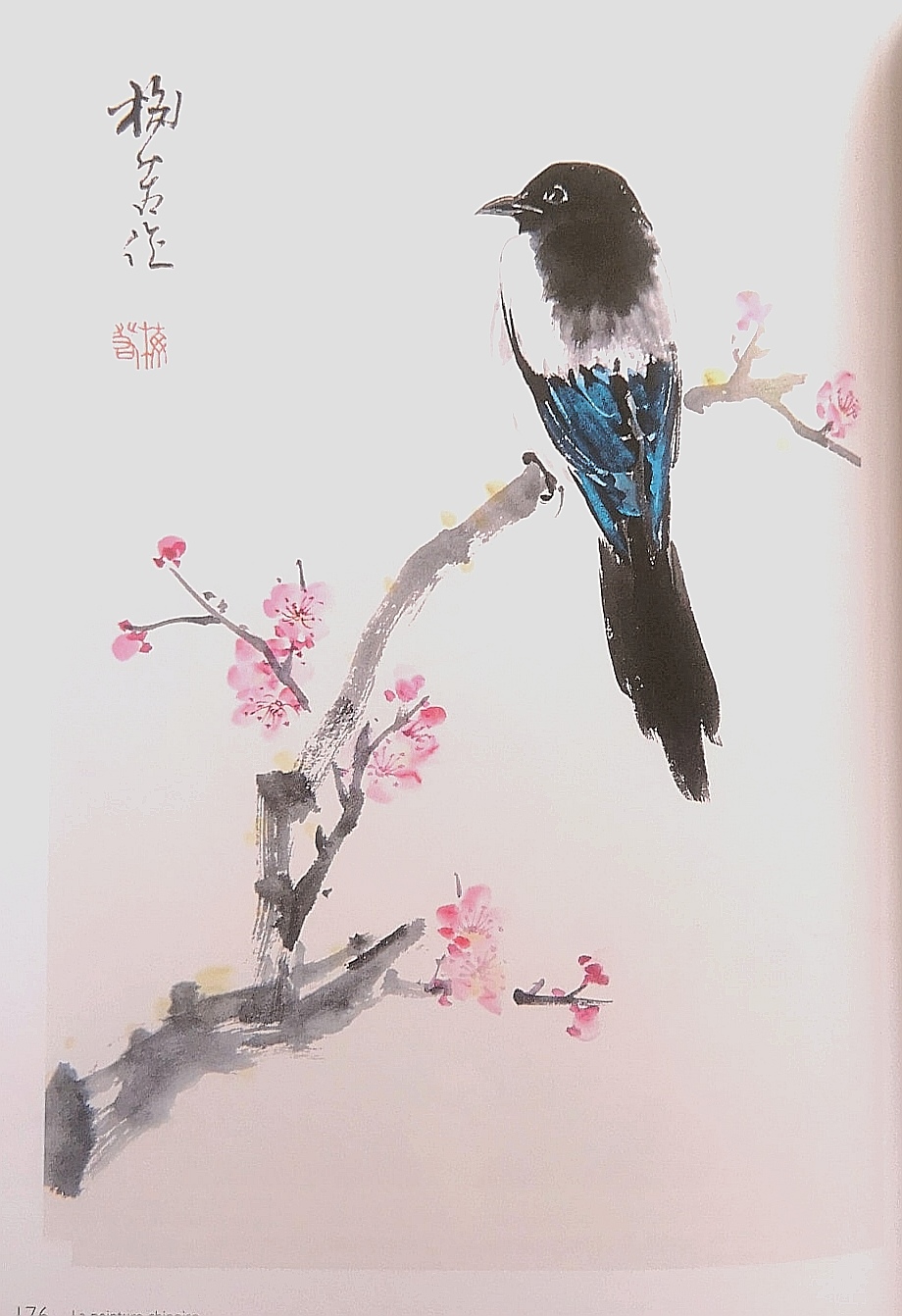 957B796E-6EC9-4690-9EDC-B59A781695D6 Oiseau